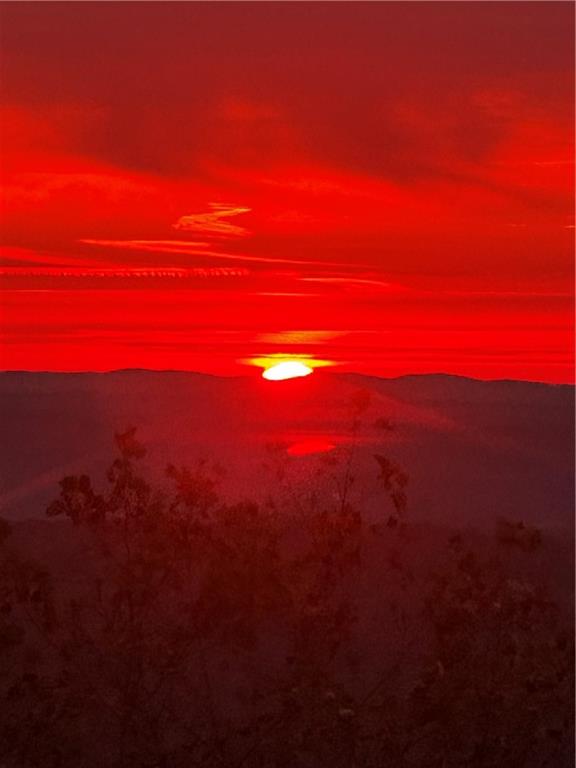 8 Mt Sequoyah Road Jasper, GA 30143 - Photo 86 of 86