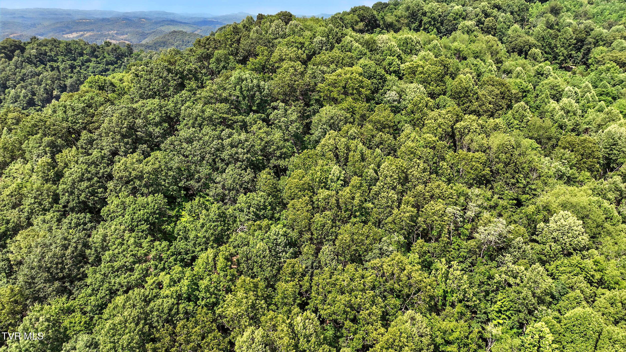 Tbd Tbd Rushing Road Castlewood, VA 24224 - Photo 12 of 13 dji_0333