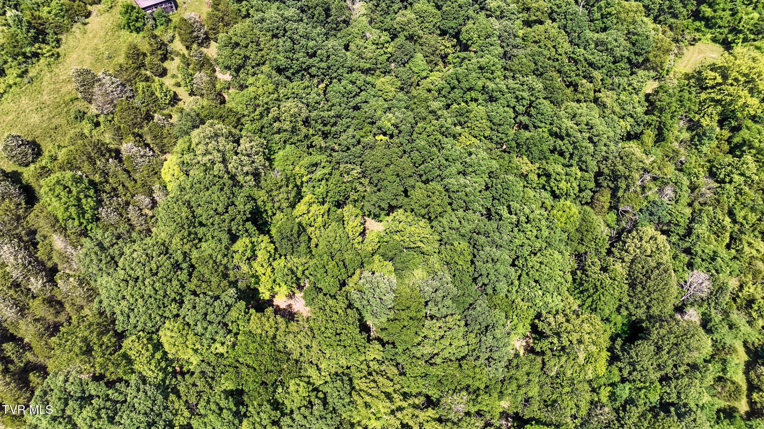 Tbd Tbd Rushing Road Castlewood, VA 24224 - Photo 6 of 13 dji_0327