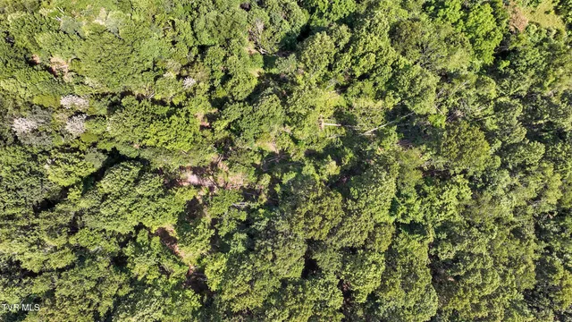 $110,000 | Tbd Tbd Rushing Road, Castlewood, VA 24224