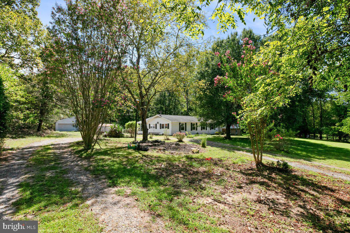 173 Rocky Run Road Fredericksburg, VA 22406 - Photo 3 of 46 Plenty of parking