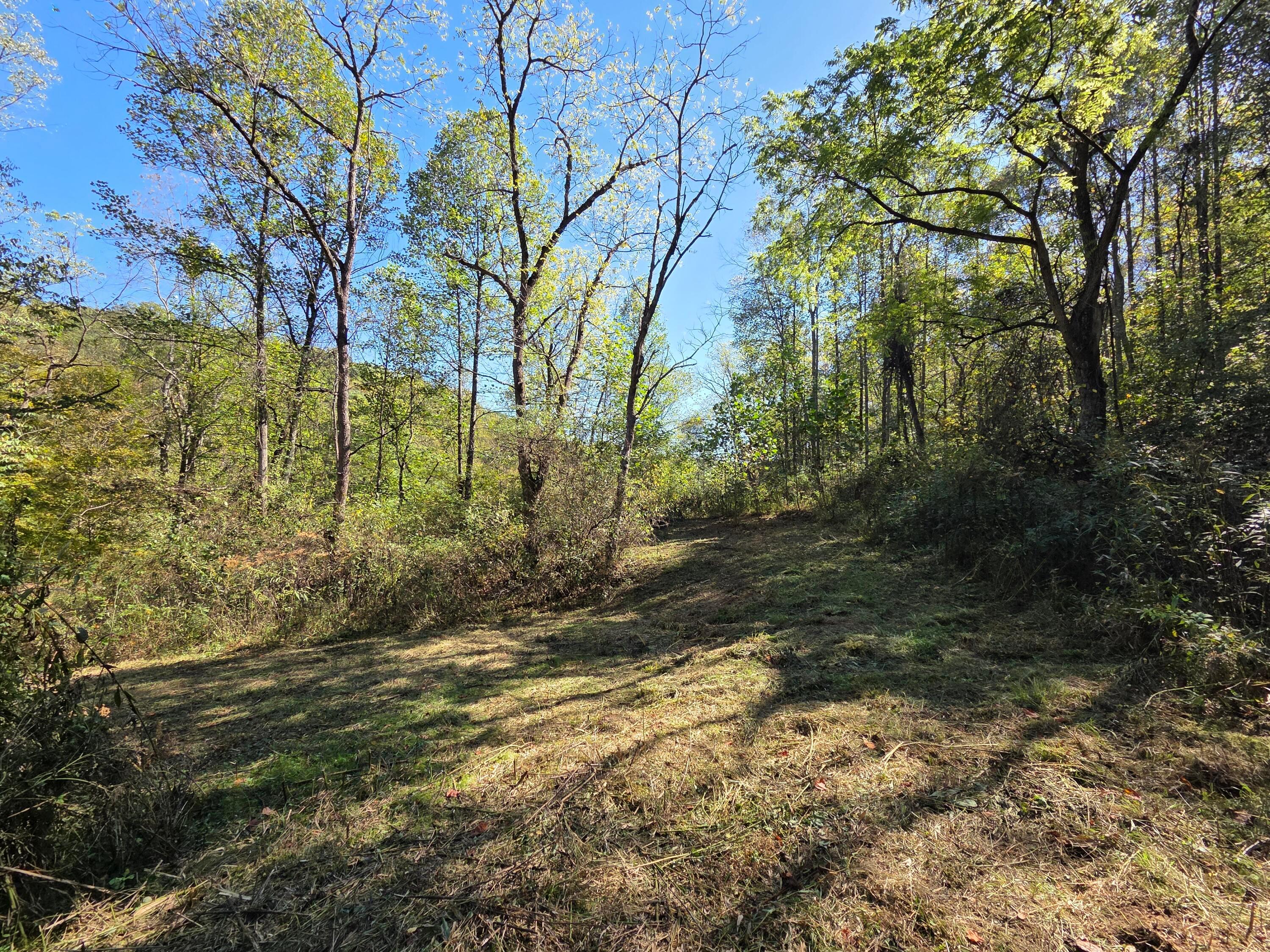 0 Newells Run Road Newport, OH 45768 - Photo 8 of 21 16