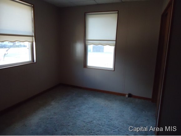 1512 North 29th Street Springfield, IL 62702 - Photo 12 of 24