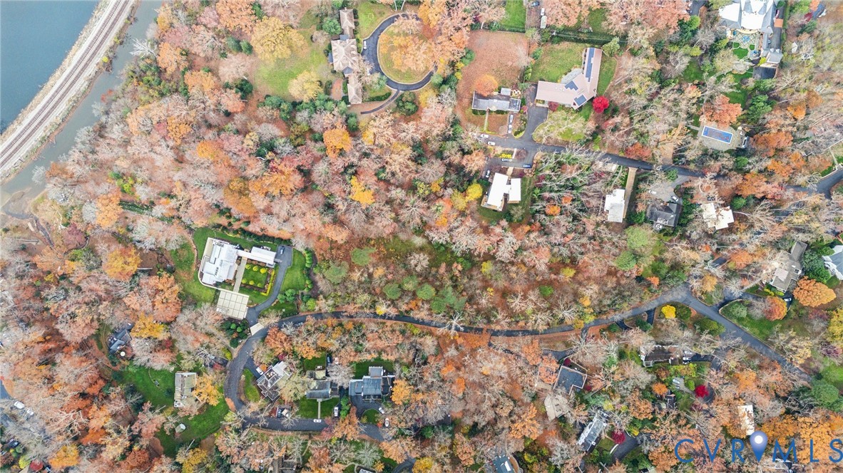 335 Charmian Road Richmond, VA 23226 - Photo 4 of 12 a picture of tree