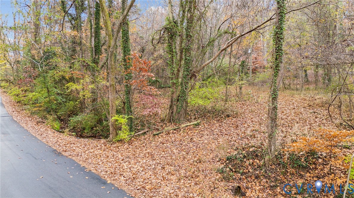 335 Charmian Road Richmond, VA 23226 - Photo 5 of 12 a view of a garden with plants and large trees