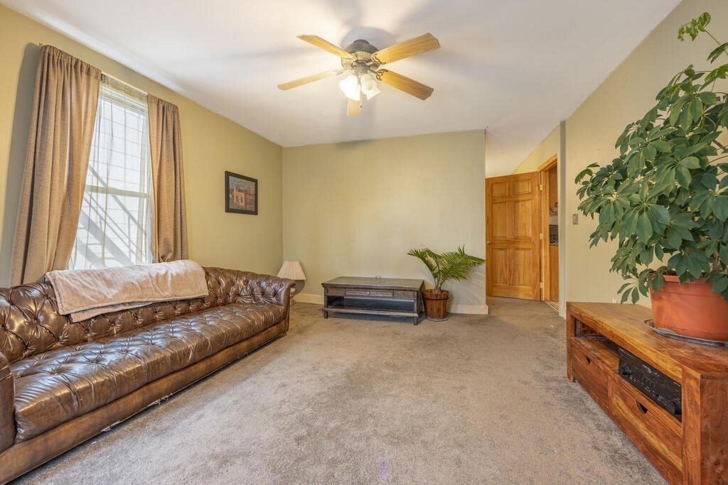 9 Cross Street Somerville, MA 02145 - Photo 4 of 18 a bedroom with furniture and a potted plant