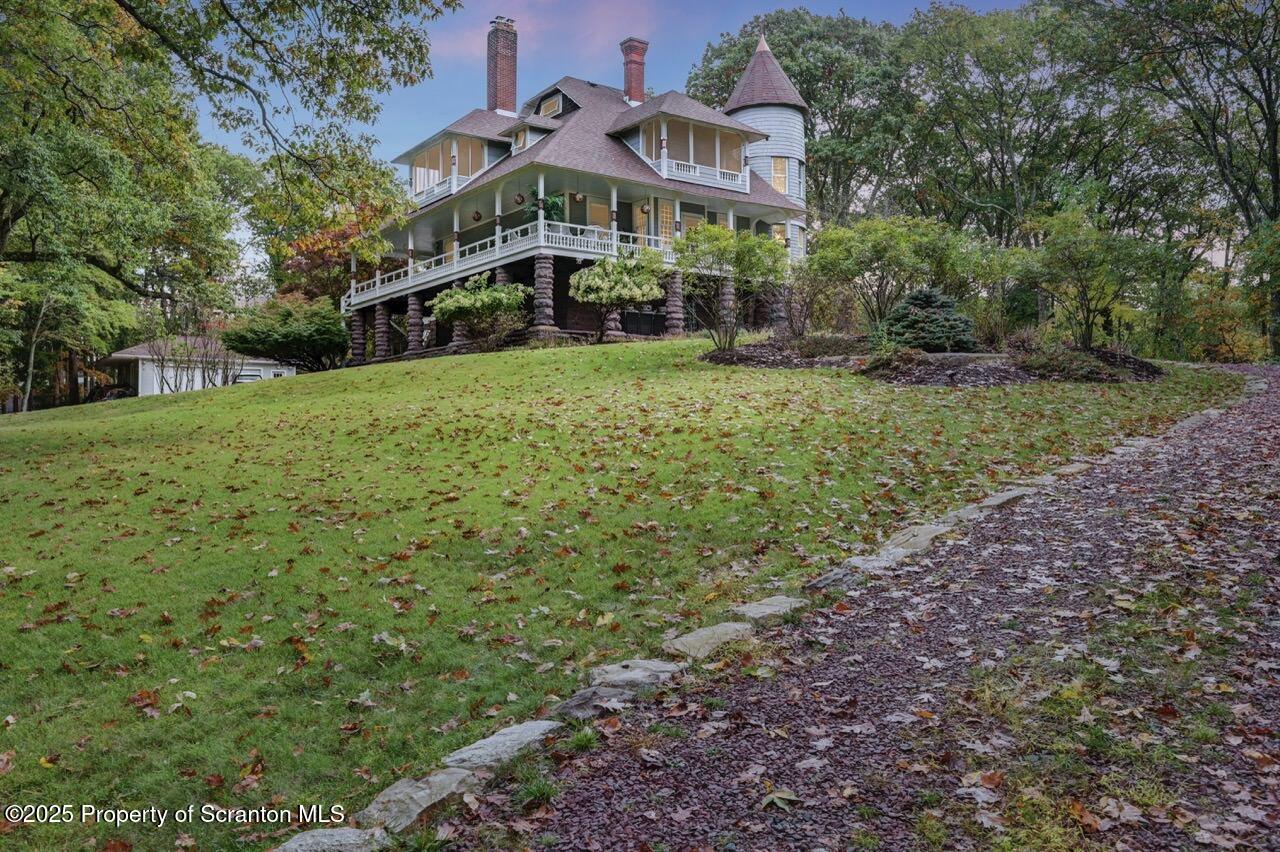 a view of a big yard with plants and large trees