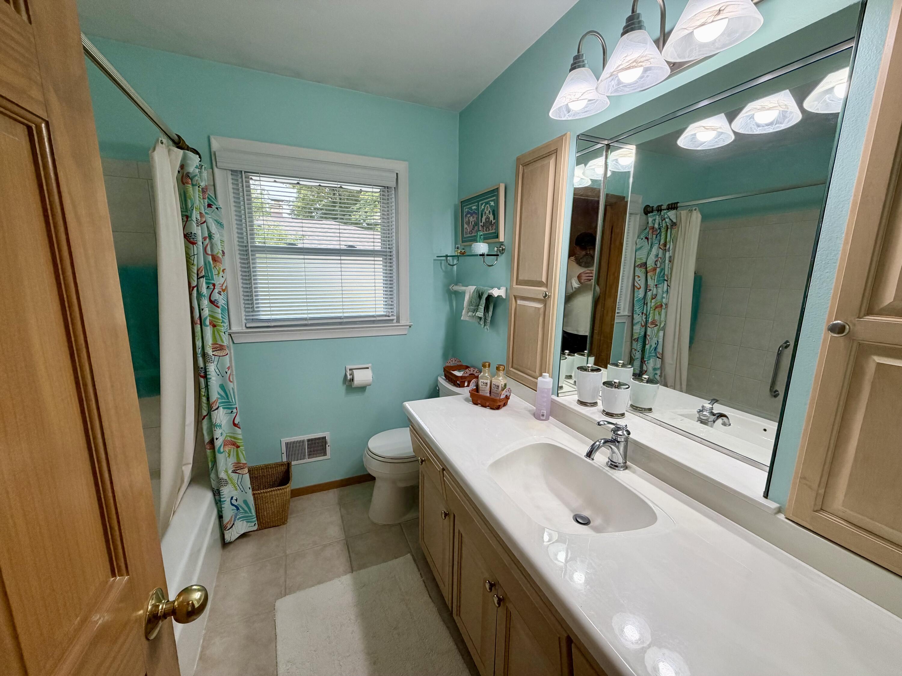 5219 South 7th Street Milwaukee, WI 53221 - Photo 8 of 15 Bath