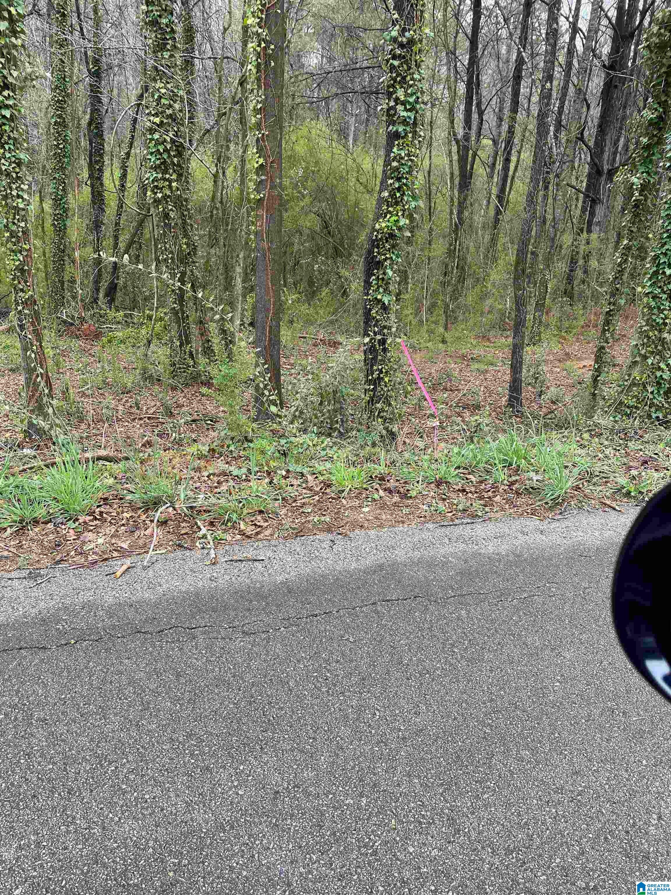 0 Osborne Street Heflin, AL 36264 - Photo 4 of 8