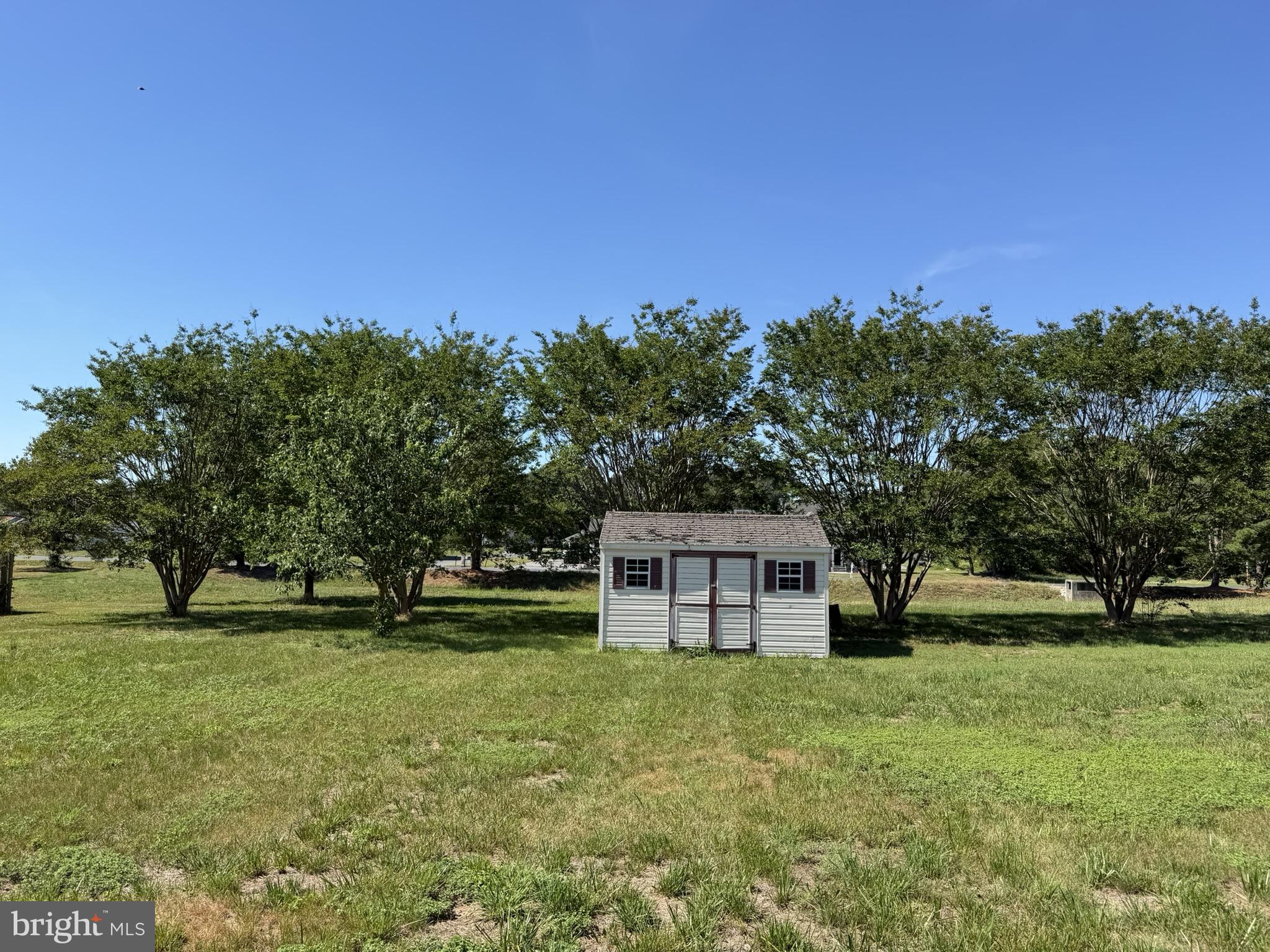 159 Miles Circle Hurlock, MD 21643 - Photo 5 of 23 back yard