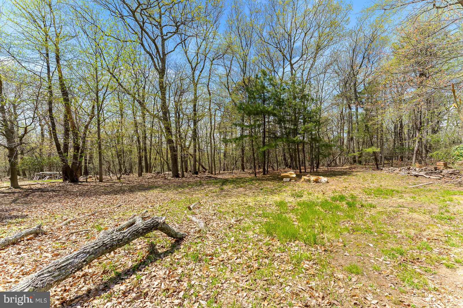 2602 Lookout Road Haymarket, VA 20169 - Photo 31 of 50