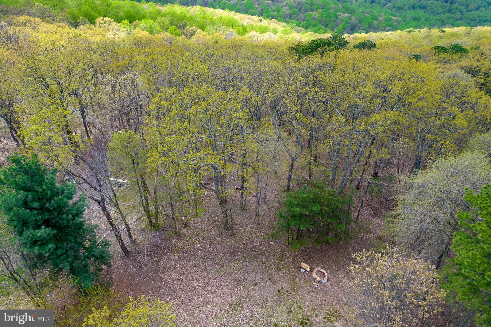2602 Lookout Road Haymarket, VA 20169 - Photo 40 of 50