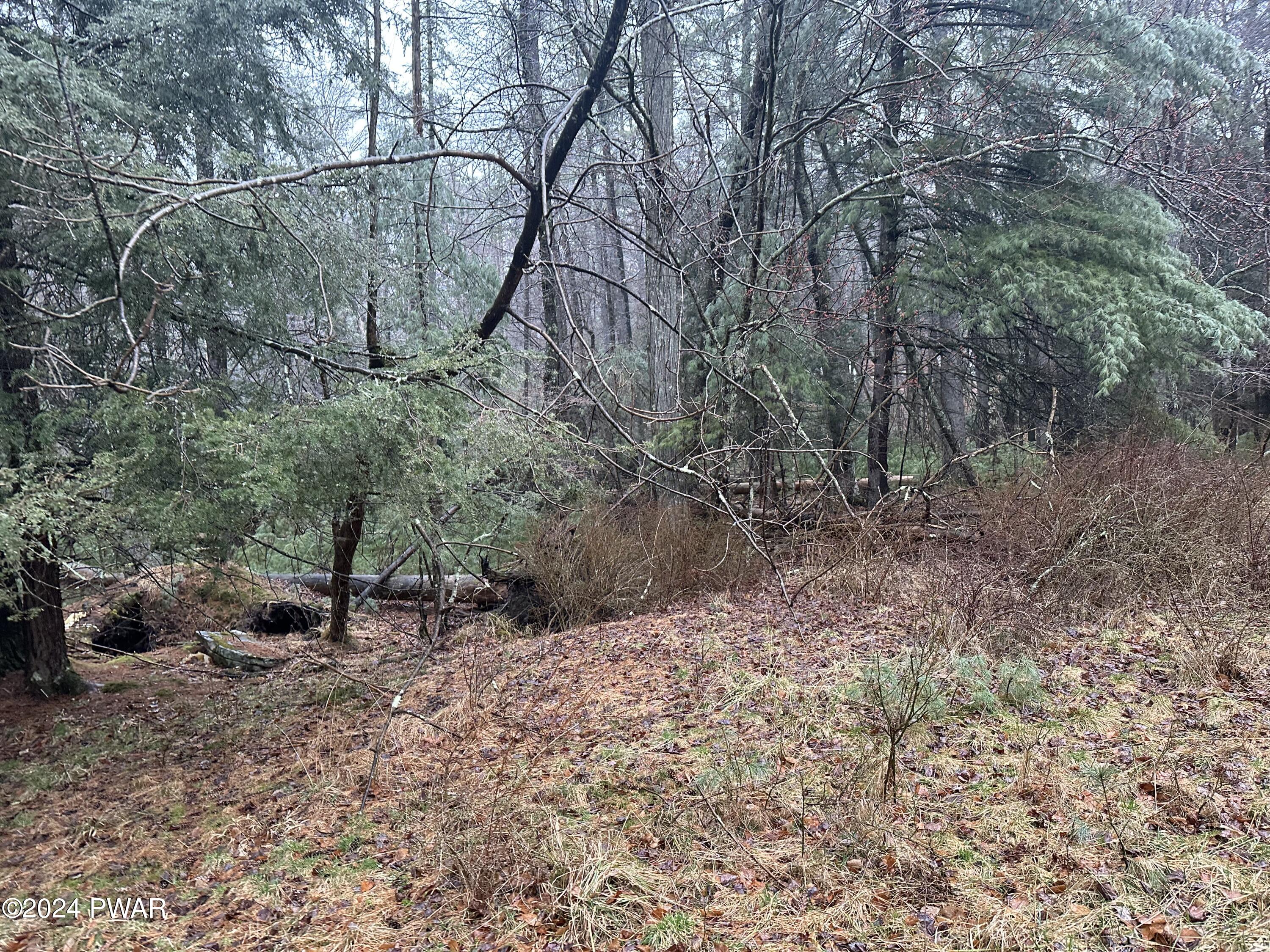 108 Whittaker Road Dingmans Ferry, PA 18328 - Photo 11 of 12 Photo Mar 23 2024, 9 03 31 AM