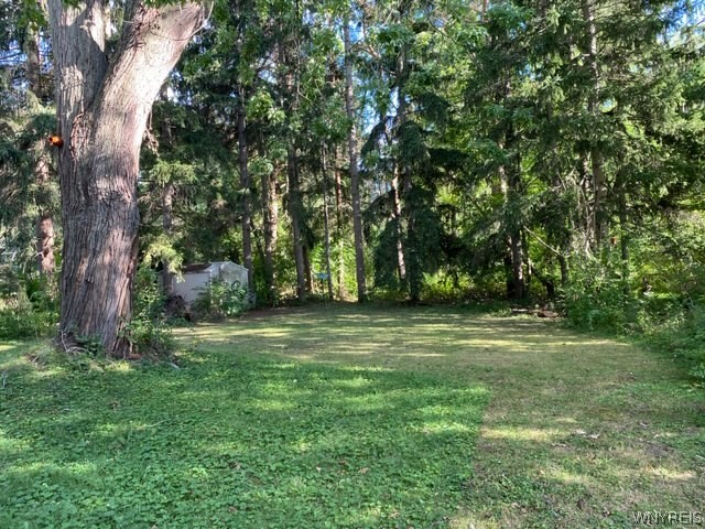 1648 Ruie Road North Tonawanda, NY 14120 - Photo 9 of 11