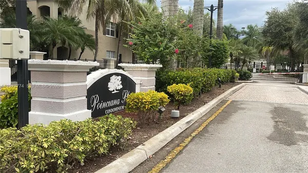 a view of a garden with flowers