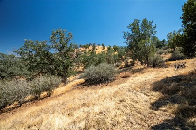 a view of a dry yard with wooden fence