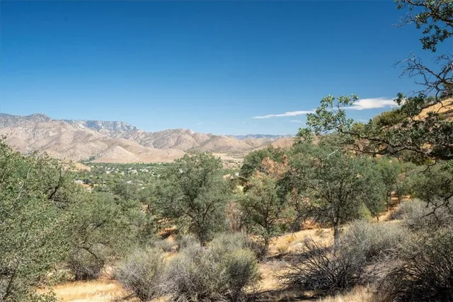 a view of a dry yard with mountains in the background