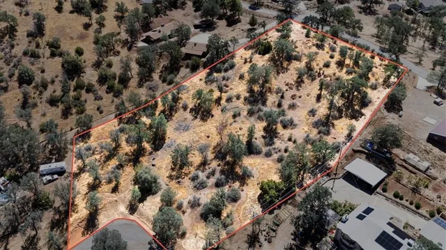 a view of a yard with trees