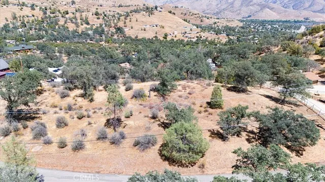 a view of a yard with trees