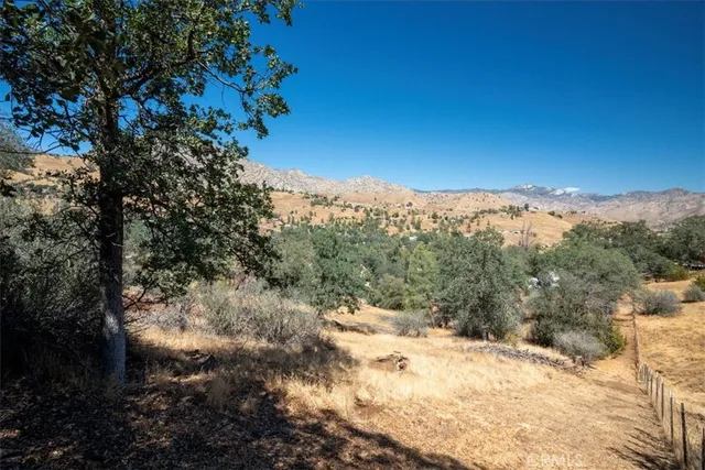 a view of a yard with trees