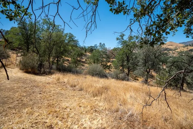 a view of a lot of trees and houses