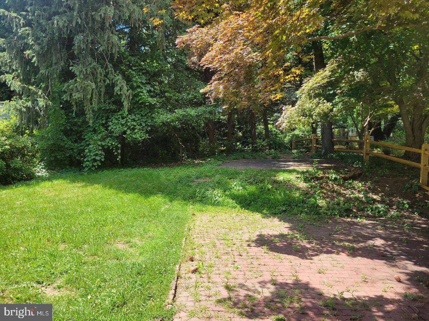 8404 Cedar Street Silver Spring, MD 20910 - Photo 3 of 18 Serene garden retreat awaits you.