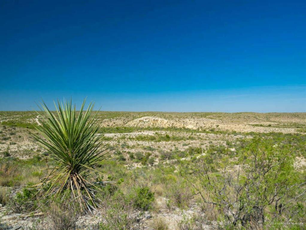 47 Rock House Road Dryden, TX 78851 - Photo 1 of 12 a view of a large green field