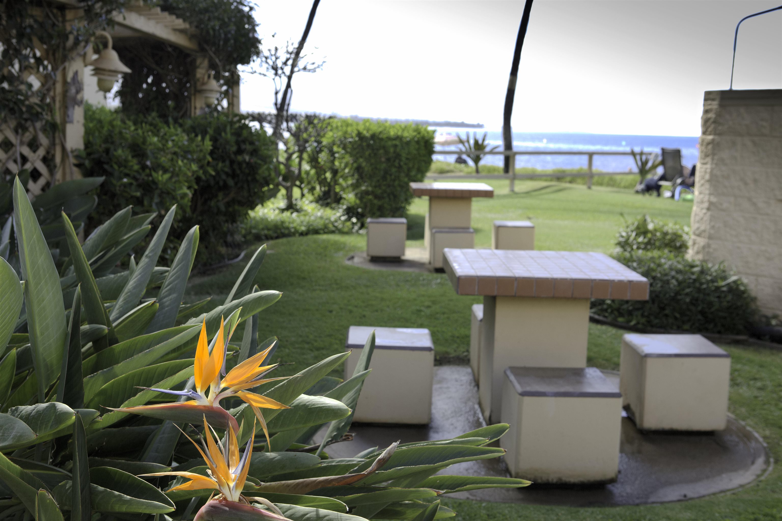 145 North Kihei Road Kihei, HI 96753 - Photo 29 of 29 a view of a patio with table and chairs potted plants