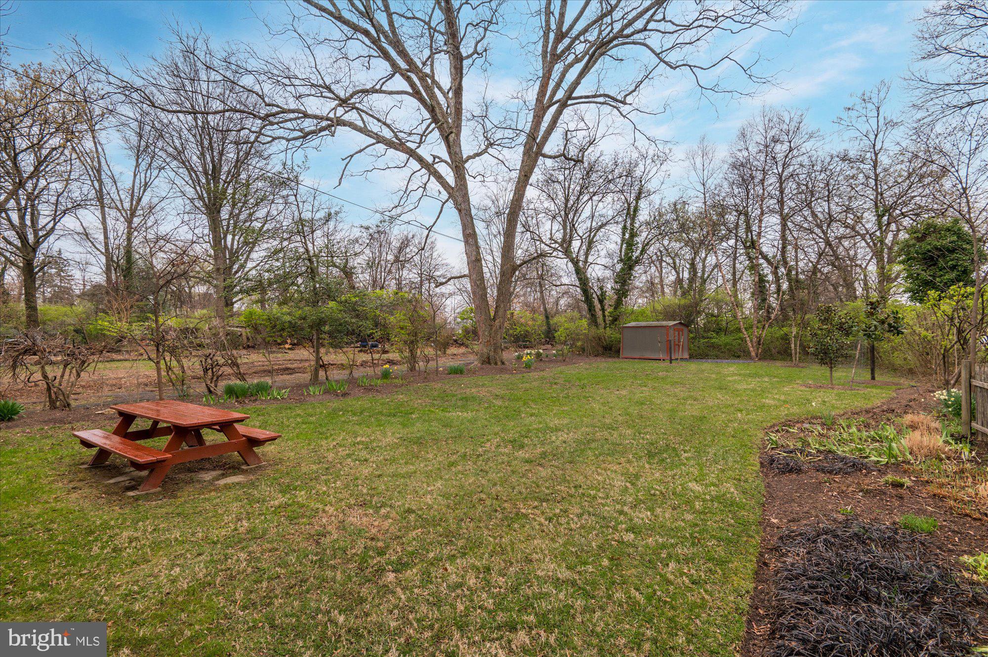 7210 Blair Road Northwest Washington, DC 20012 - Photo 29 of 36 Expansive Yard
