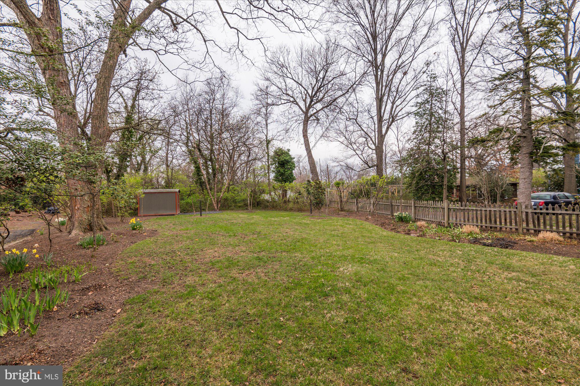 7210 Blair Road Northwest Washington, DC 20012 - Photo 30 of 36 Lush Rear Yard