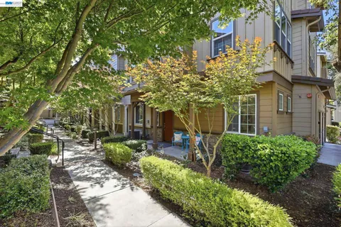 front view of a house with a tree in a yard