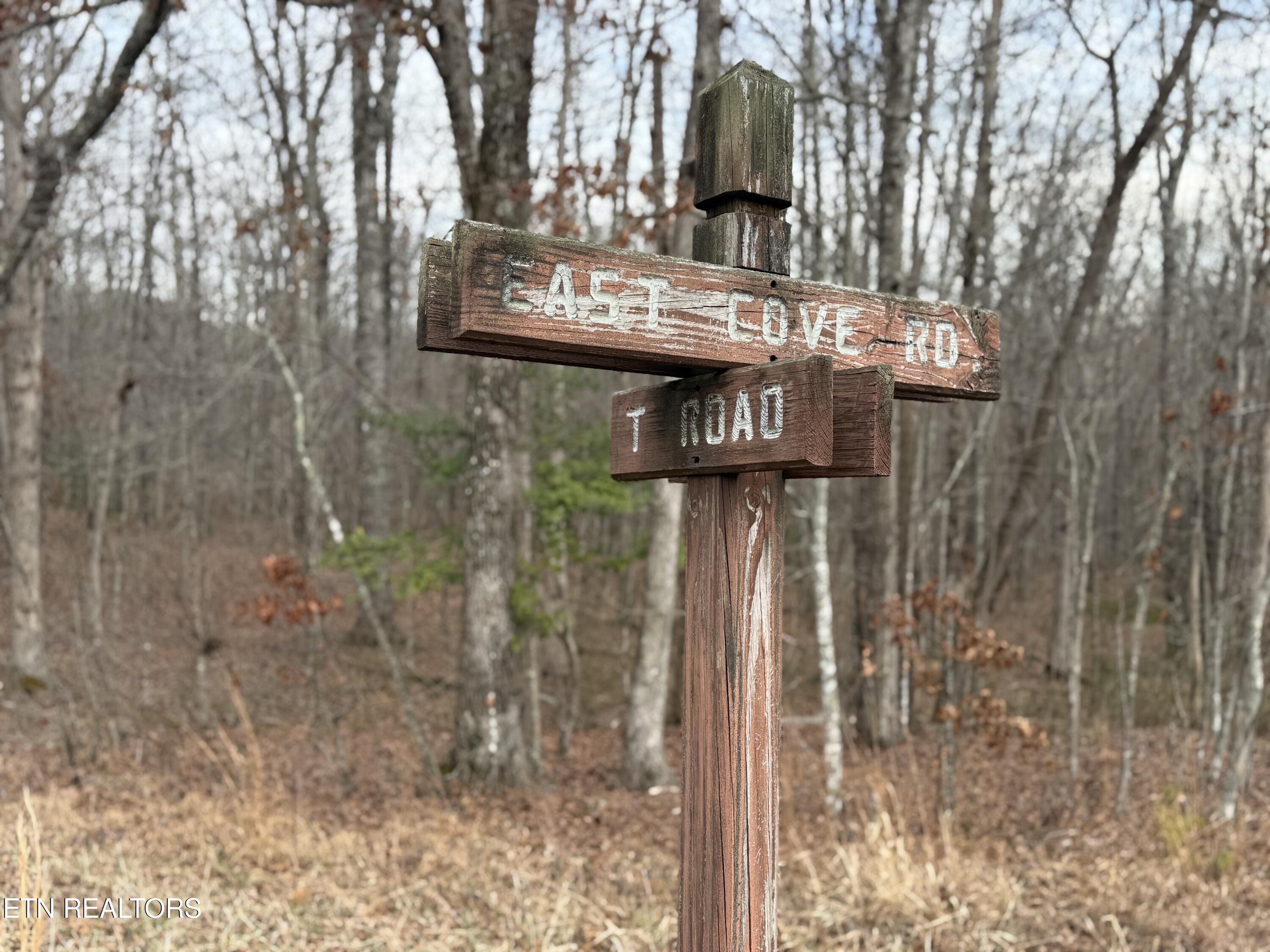 Lot 17 T Road Monterey, TN 38574 - Photo 5 of 5 IMG_3600