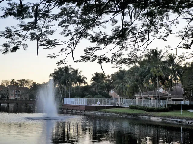 a view of river covered with trees