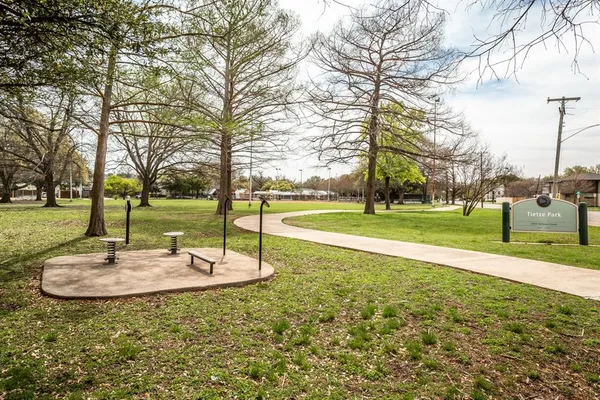 a park with tall trees