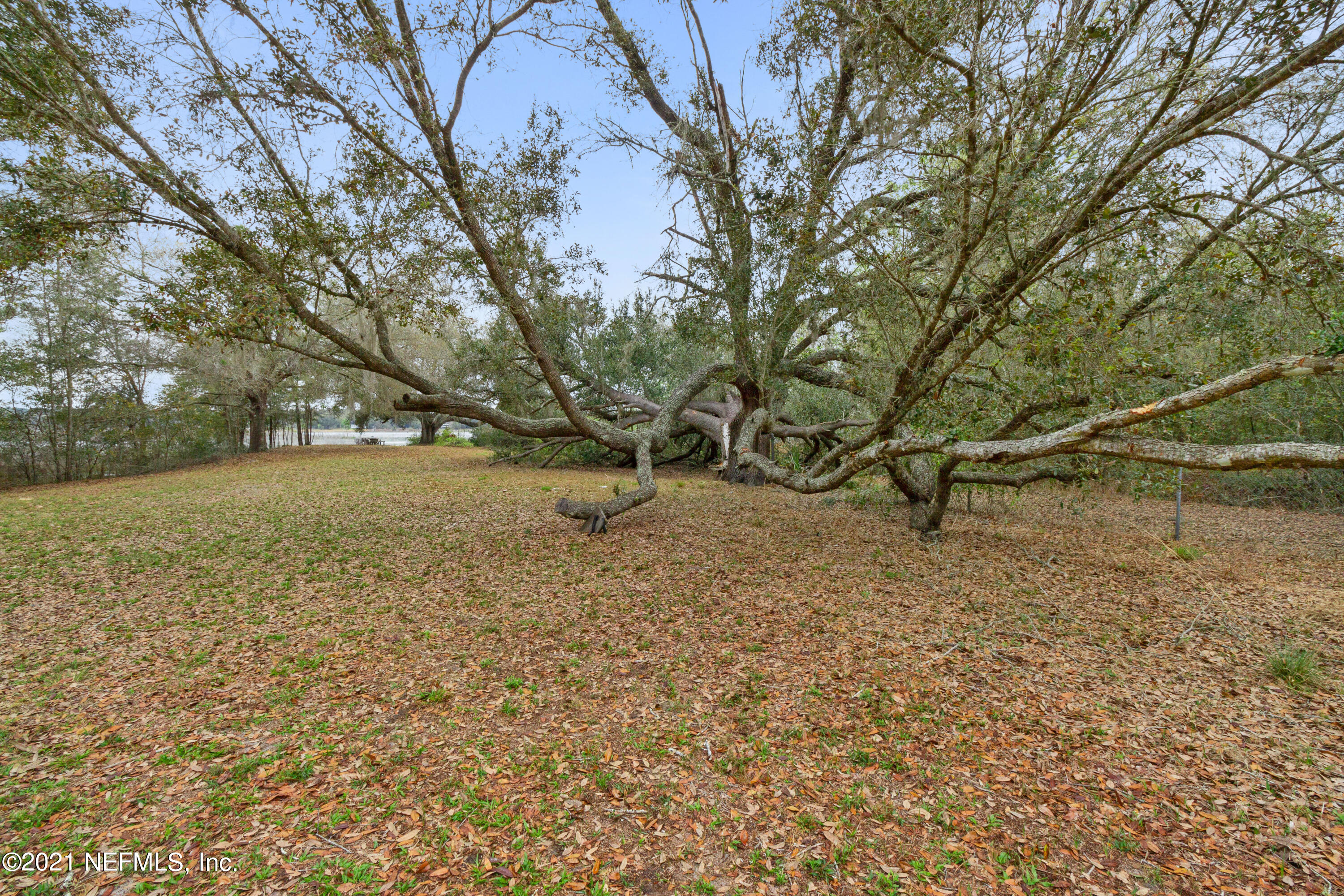 161 Cowpen Lake Point Road Hawthorne, FL 32640 - Photo 22 of 24 IMG_4647