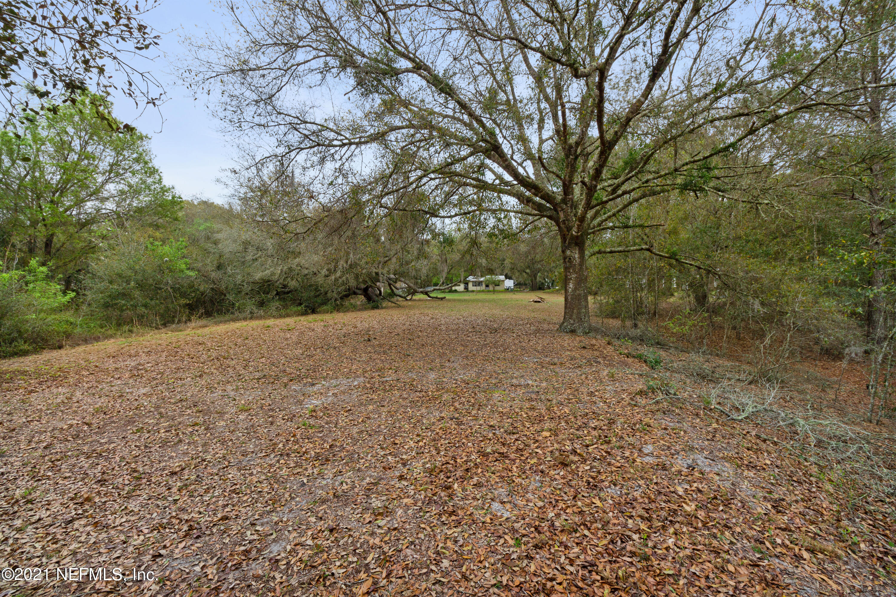 161 Cowpen Lake Point Road Hawthorne, FL 32640 - Photo 24 of 24 IMG_4655