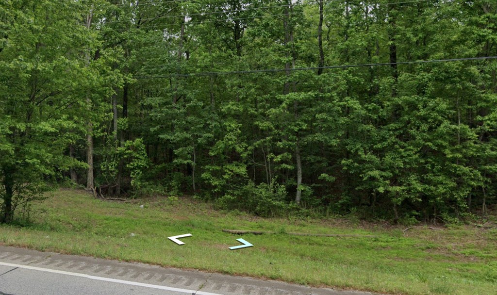 0 Ga Highway White, GA 30184 - Photo 4 of 6