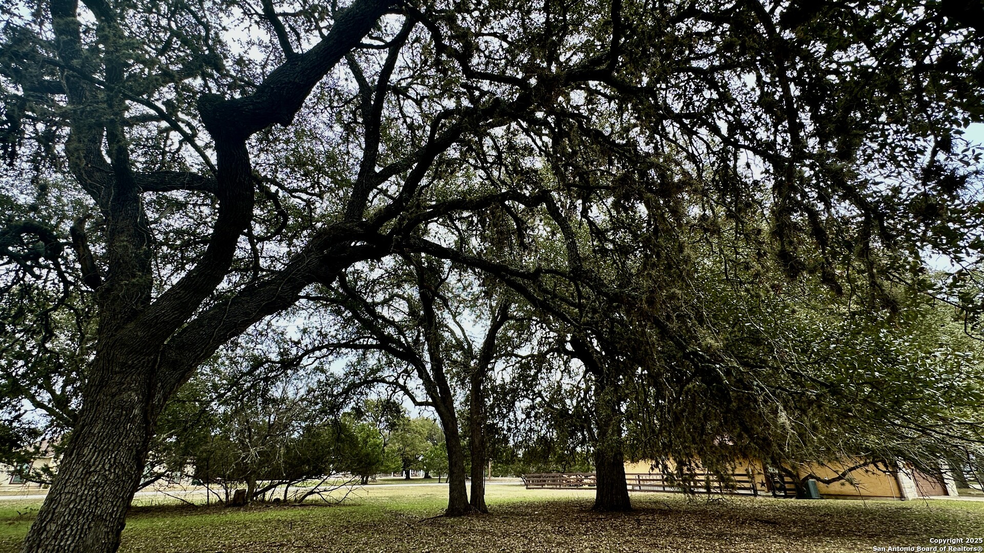 0 Tawny Oak Bandera, TX 78003 - Photo 3 of 13 a view of park area