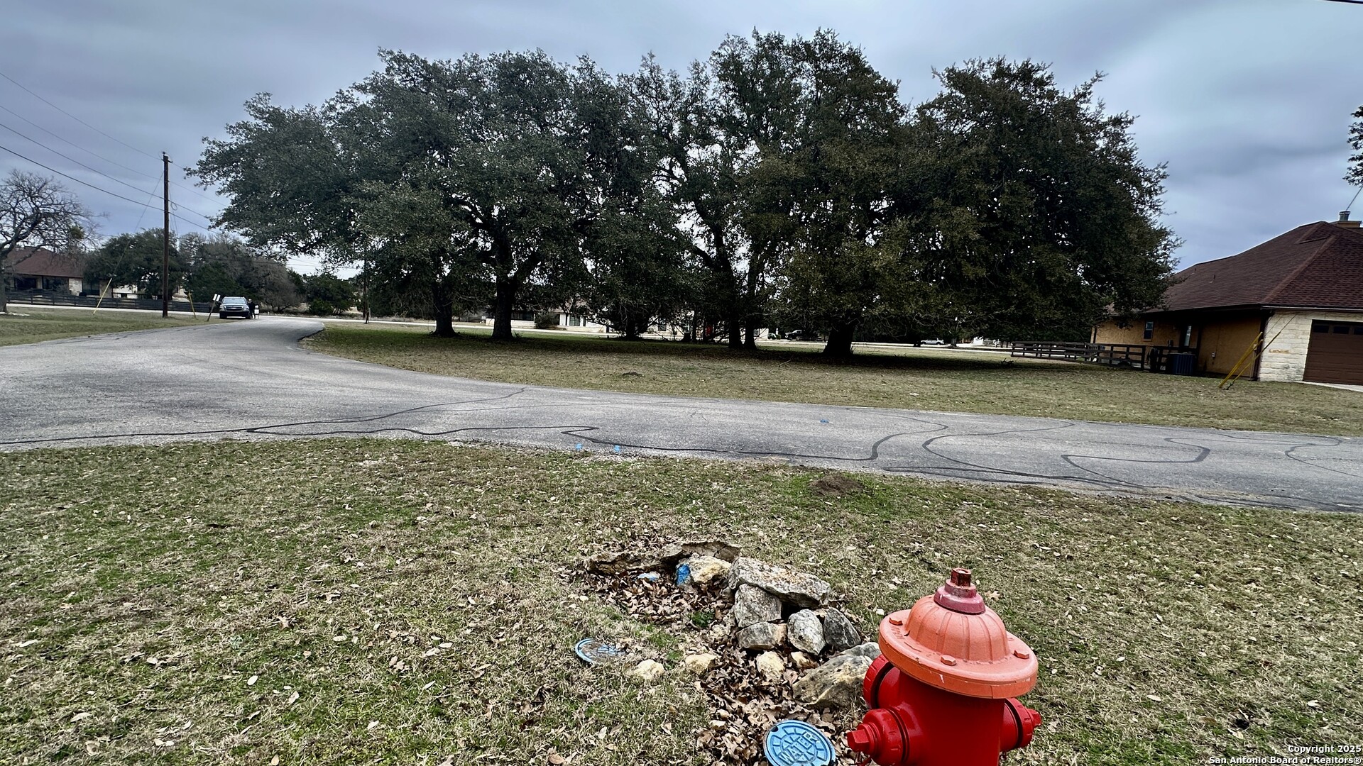 0 Tawny Oak Bandera, TX 78003 - Photo 4 of 13 a view of a yard with plants and trees