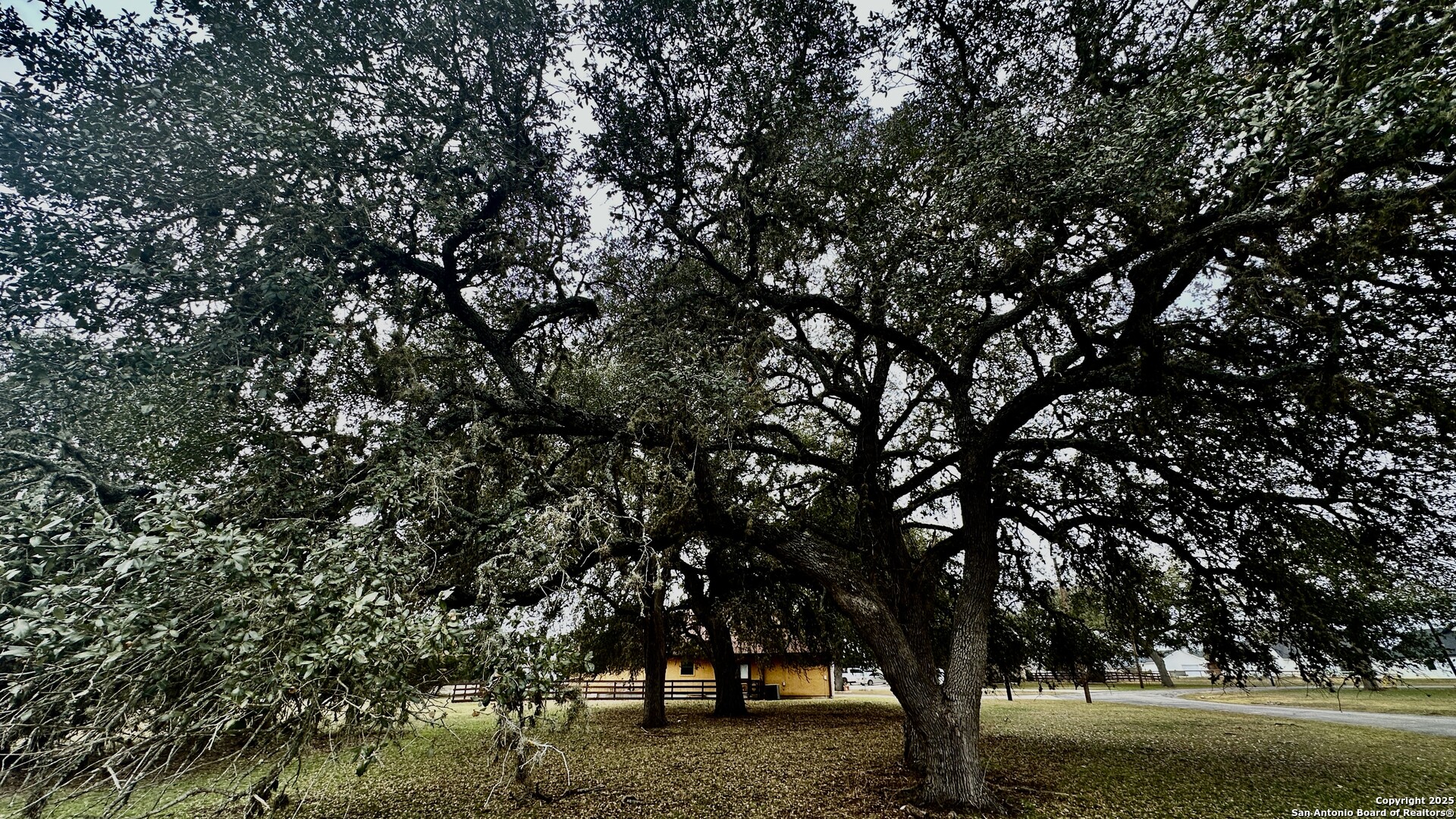 0 Tawny Oak Bandera, TX 78003 - Photo 6 of 13 a view of outdoor space with trees all around