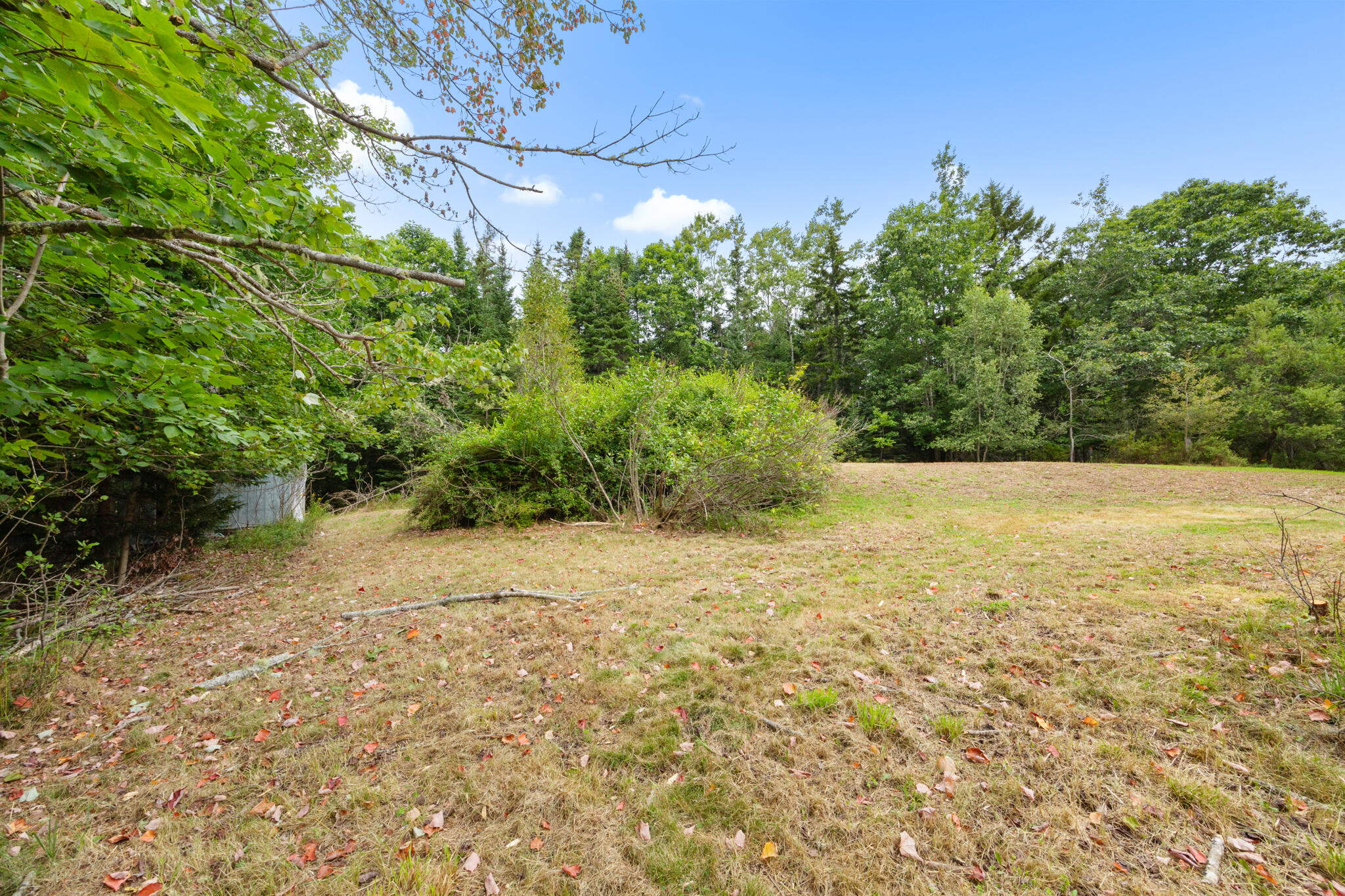563 Newbury Neck Road Surry, ME 04684 - Photo 59 of 67 Lawn Area
