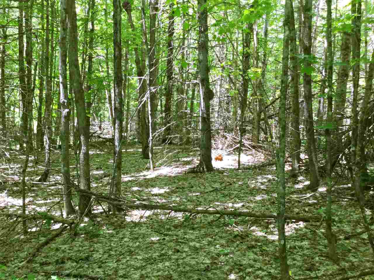 400 Champigny Road Morgan, VT 05853 - Photo 5 of 22