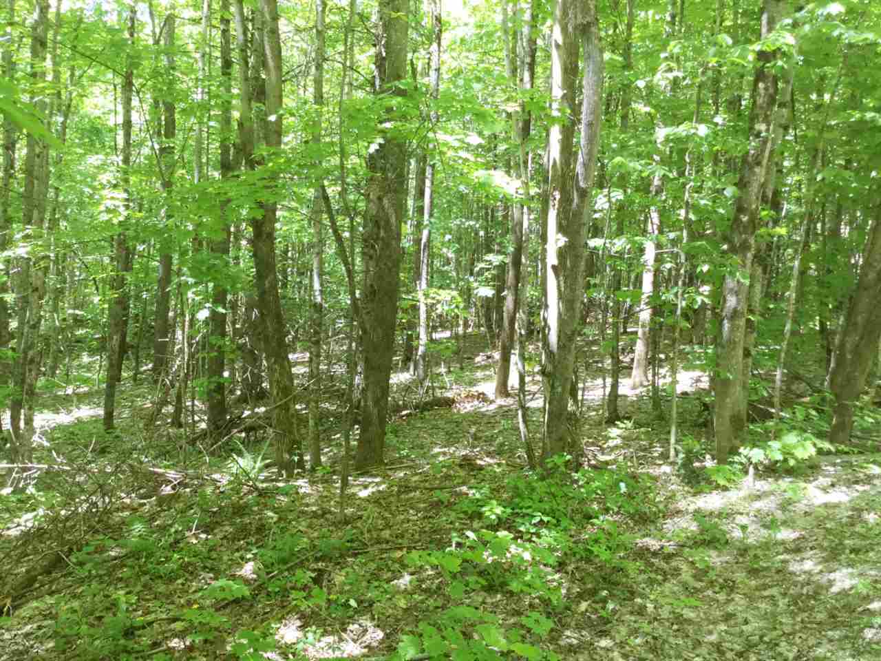 400 Champigny Road Morgan, VT 05853 - Photo 7 of 22