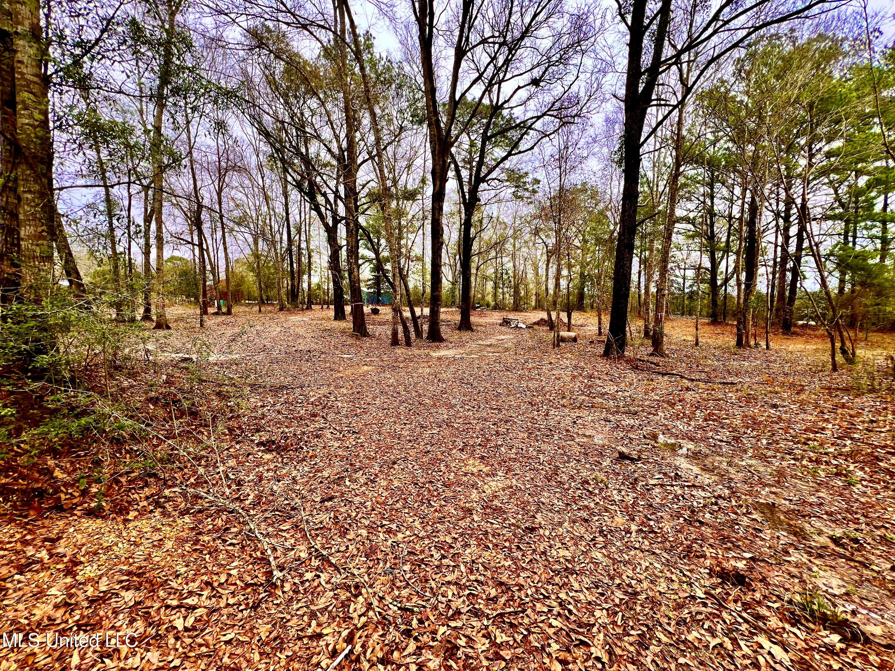 35 Flint Creek Road Wiggins, MS 39577 - Photo 1 of 4 IMG_6291