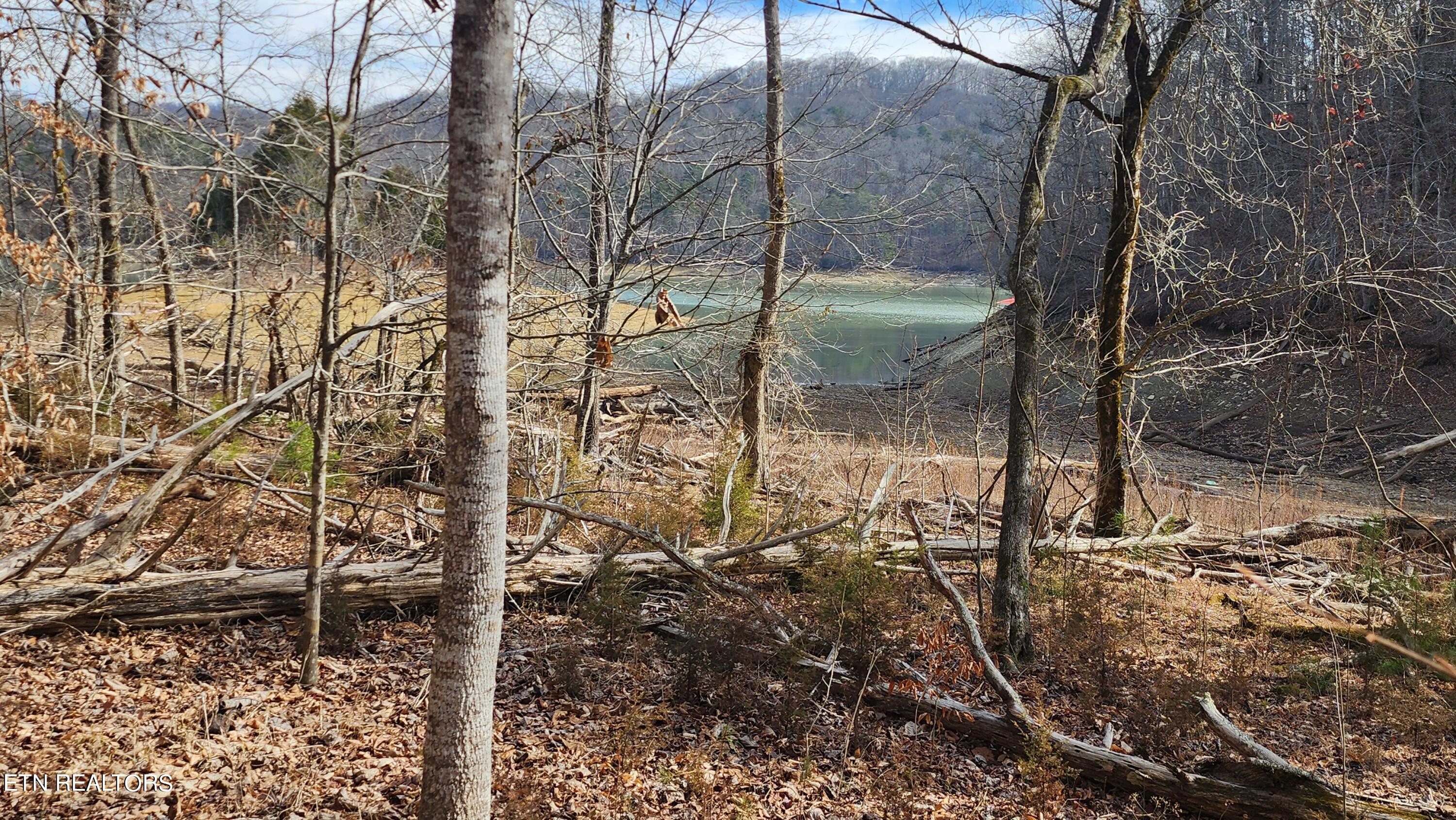 312 Bluff View Road New Tazewell, TN 37825 - Photo 1 of 23 View from lot