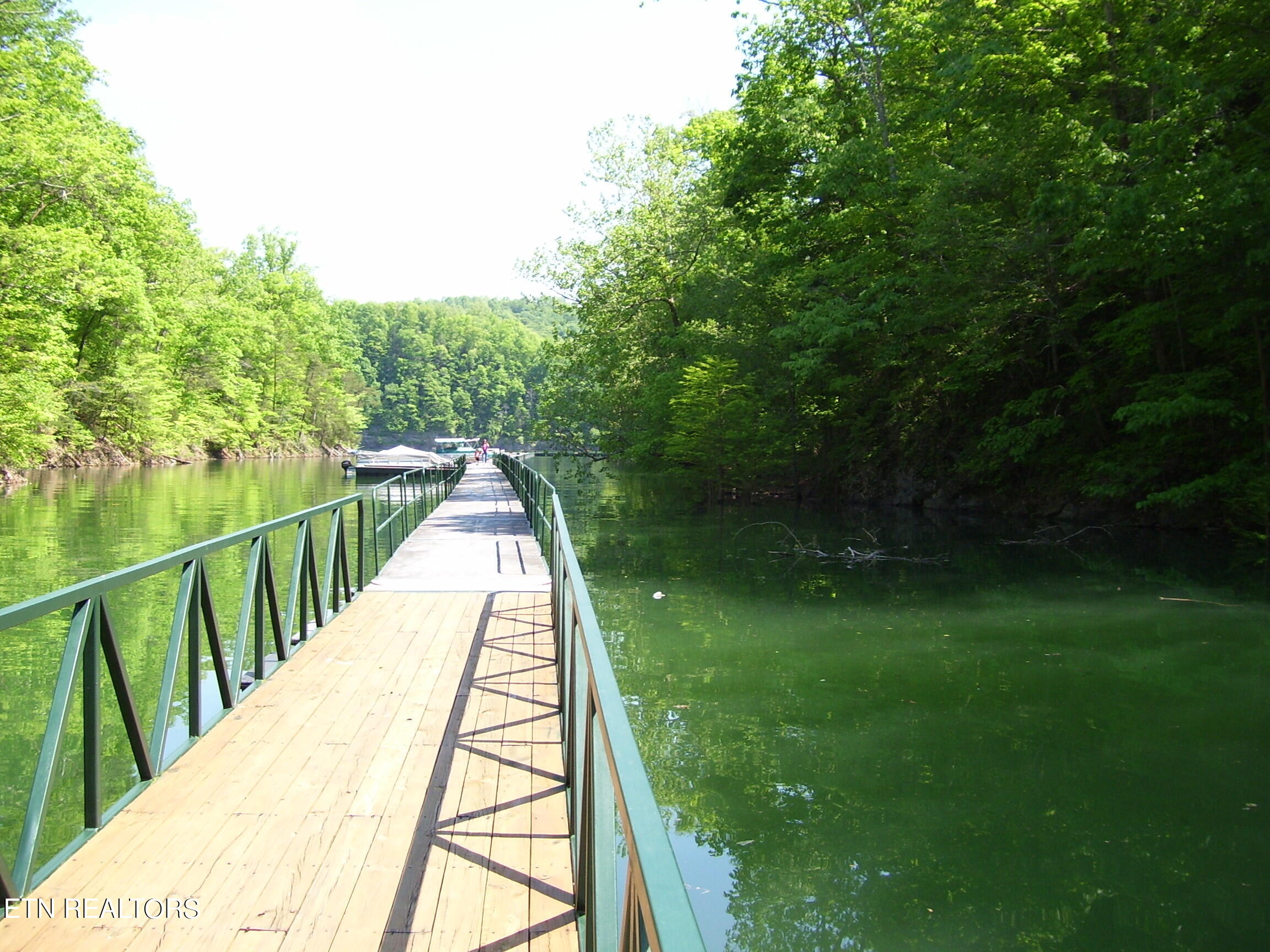 312 Bluff View Road New Tazewell, TN 37825 - Photo 20 of 23 100_3185