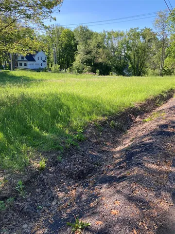 a view of a yard with a tree