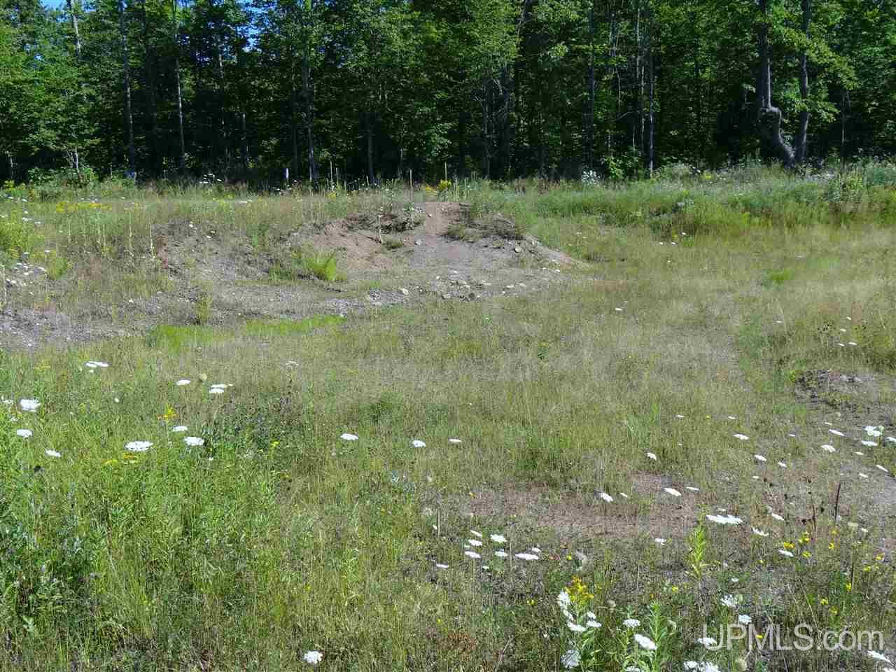 Tbd Post Office Road Mass City, MI 49948 - Photo 10 of 19