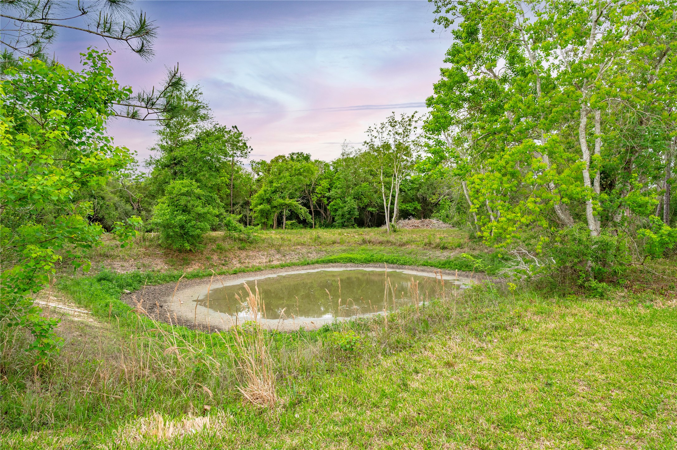 725 Thompson Road Alvin, TX 77511 - Photo 43 of 44