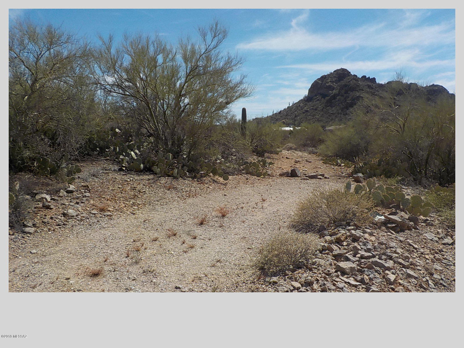 4400 South Century Road Tucson, AZ 85746 - Photo 3 of 5 Gallery Image 3